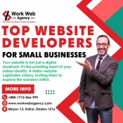 Website Developers for Small Businesses